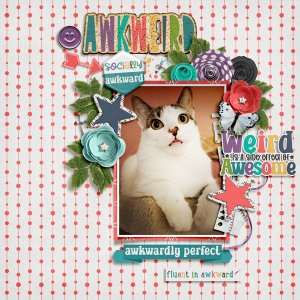 awkweird