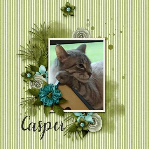 Casper