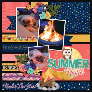 Summer Nights