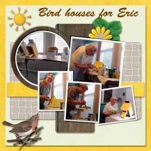 Birdhouses for Eric