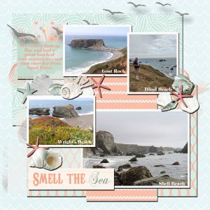 Bodega Bay