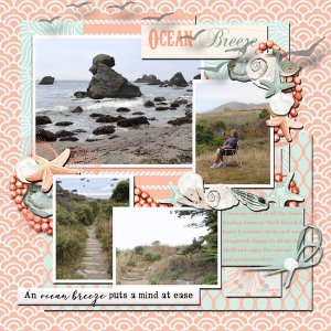 Bodega Bay 2