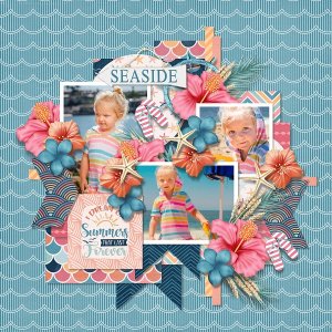 T. Summer memories 1