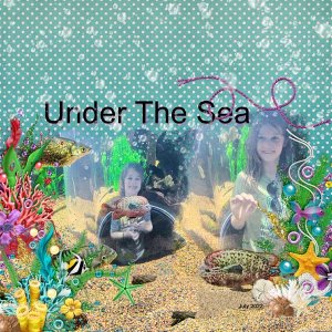 TN Aquarium