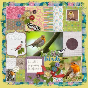 For_the_birds1