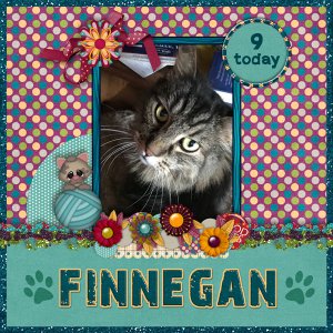 Happy Birthday Finnegan