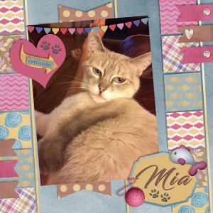 Happy Birthday Mia