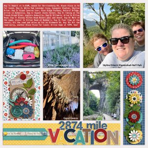 2874 Mile Vacation