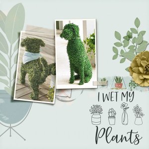 Houseplant Heaven