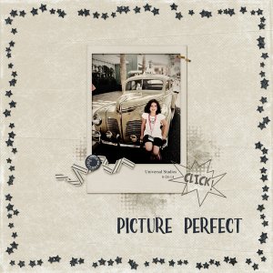 Picture Perfect