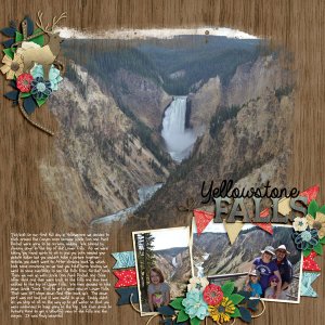 Yellowstone Falls