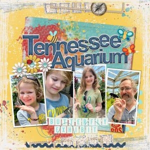 Tenneessee Aquarium
