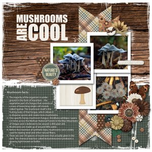 Mushrooms are Cool - Memory Mix Up challenge 2022-08