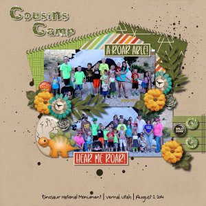 Cousin's Camp