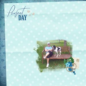 what a perfect day