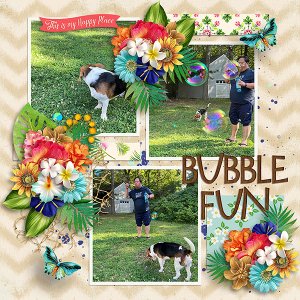 Bubble Fun