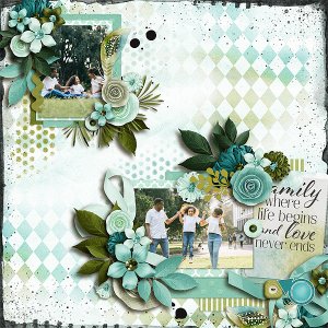 Family - life love