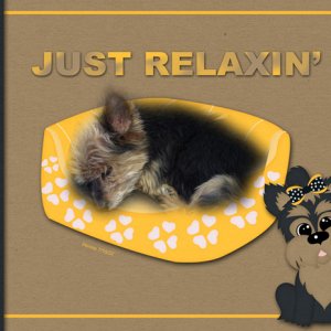 JUST RELAXIN'