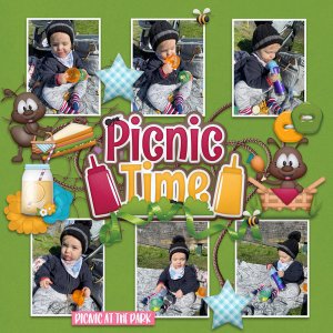 Picnic in the Park
