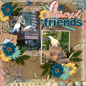 Feathered-Friends