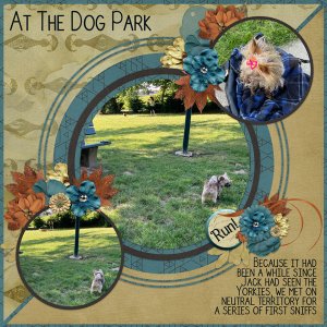 At The Dog Park