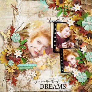 in persuit of dreams