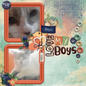 love_my_boys