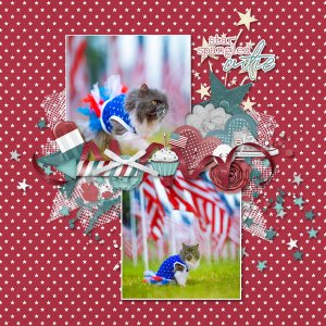 Patriotic Kitty