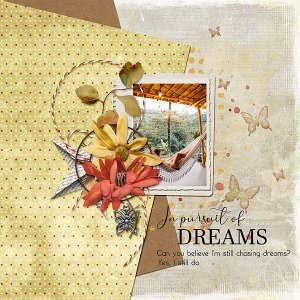 Pursuit of Dreams