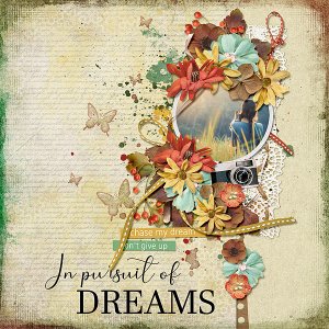 Pursuit of Dreams