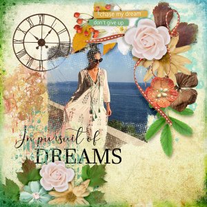 In-pursuit-of-dreams