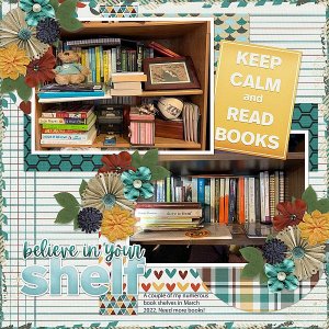Believe In Your Shelf