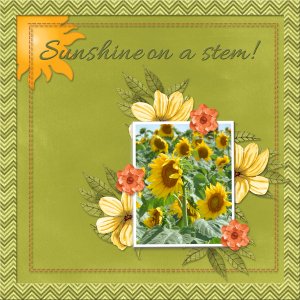 Sunshine on a stem!