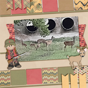 Texas Deer