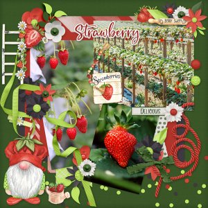 Strawberry