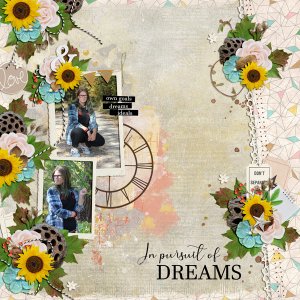 in pursuit of dreams