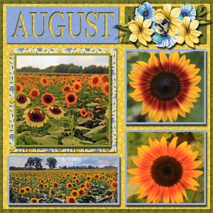August