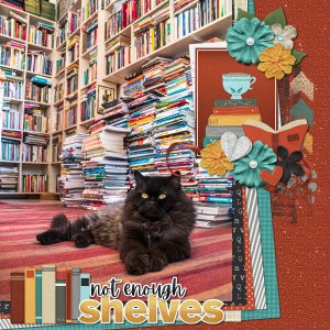 book kitty
