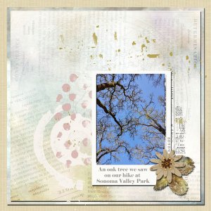 Oak Tree