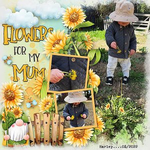 Flowers for my Mum