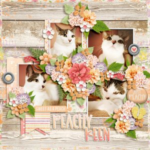 peachy keen