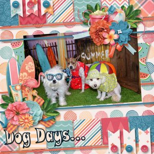 Dog Days