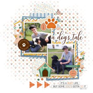 A Dogs Tale