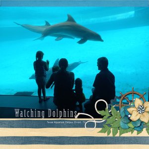 Watching Dolphins