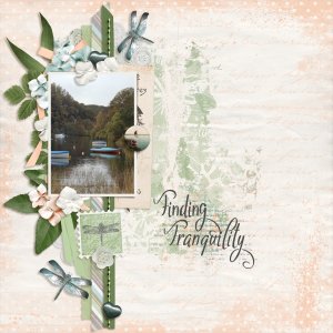 Finding Tranquility