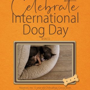 Celebrate International Dog Day