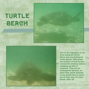 Turtle Beach, Oahu