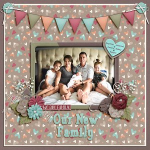 Our New Family