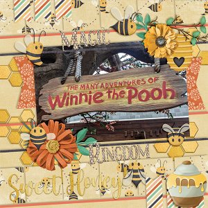 The Many Adventures of Winnie the Pooh