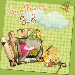 Sunflower Seeds